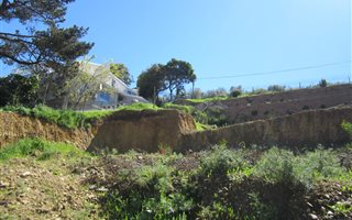 1289 m² Land available in Loevenstein