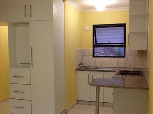 Studio apartment in Umbilo