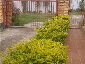3 Bed House in Southernwood