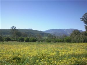 357 m² Land available in Clanwilliam