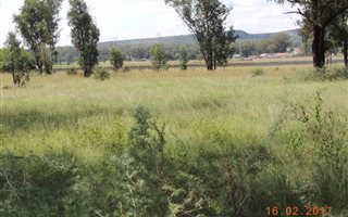 4 ha Farm in Walkers Fruit Farms