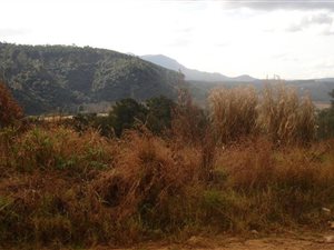 1425 m² Land available in Sabie