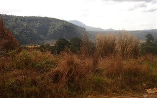 1425 m² Land available in Sabie