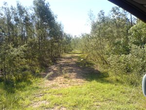 5.8 ha Farm in Westlands AH