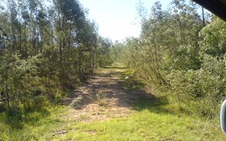 5.8 ha Farm in Colleen Glen