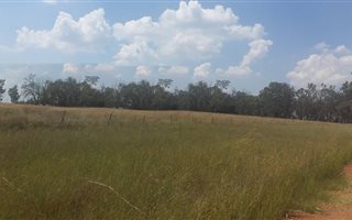 5.1 ha Farm in Honingnestkrans