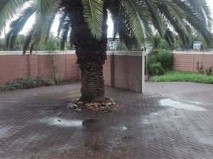 167 m² Office Space in Willows