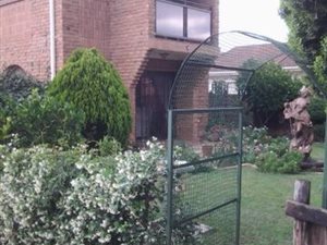 4 Bed House in Greytown