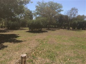 3 Bed House in Golf View