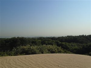 17 ha Land available in Prospecton Industrial