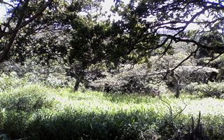 1534 m² Land available in St Michaels on Sea