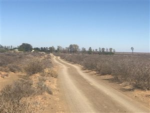 4681 ha Farm in Prieska