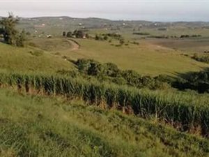 4.5 ha Land available in Mandini