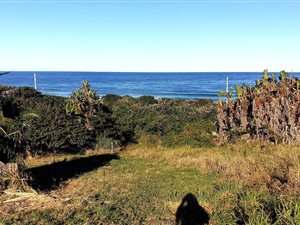 902 m² Land available in Umzumbe