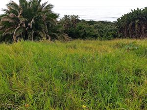 902 m² Land available in Umzumbe