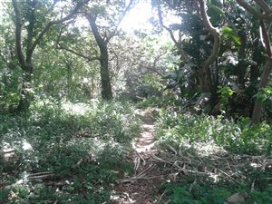 2753 m² Land available in Pumula