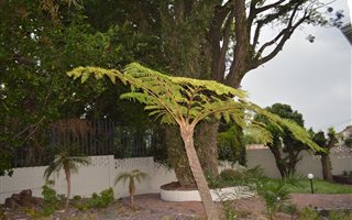 3 Bedroom House in Fairwood