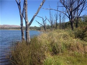 331 ha Farm in Buffelspoort