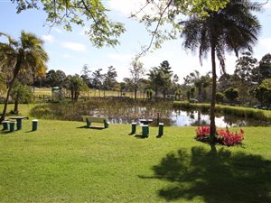 7 ha Farm in Harkerville