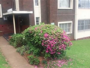 2.5 Bed Apartment in Montclair
