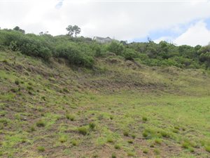 985 m² Land available in Brenton on Sea