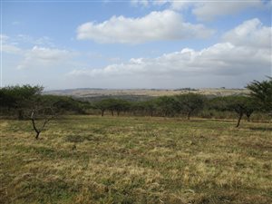 4053 m² Land available in Manderston