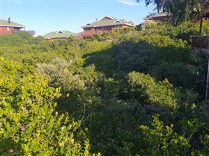 1054 m² Land available in Nature on Sea