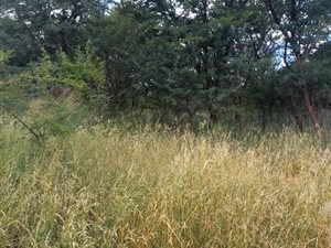 548 m² Land available in Nylpark