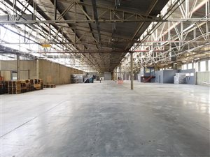 7500 m² Industrial space in Alrode