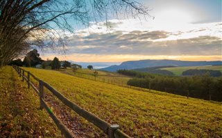 32 ha Farm in Hilton