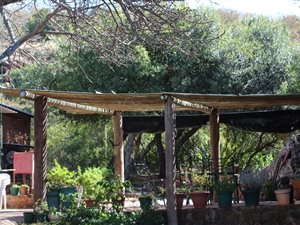 19.7 ha Farm in Bela-Bela (Warmbaths)