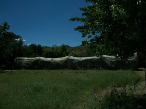 3.2 ha Smallholding in Bethulie