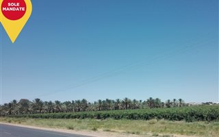 8.9 ha Farm in Kakamas