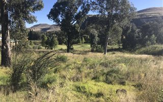 700 m² Land available in Clarens