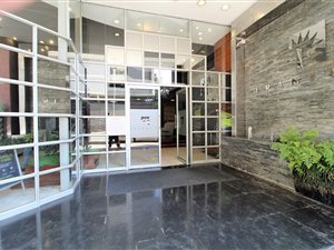 1 Bedroom Apartment in Newtown