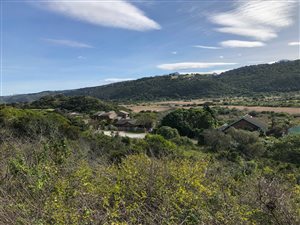 895 m² Land available in Wilderness