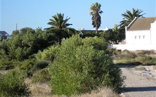 607 m² Land available in Golden Mile