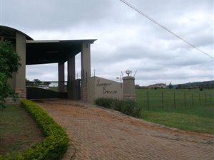 1 ha Farm in White River