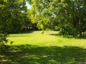 Commercial space in Great Brak River