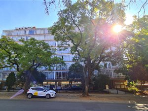 Studio apartment in Sunnyside