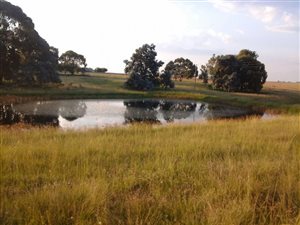 182 ha Farm in Leandra