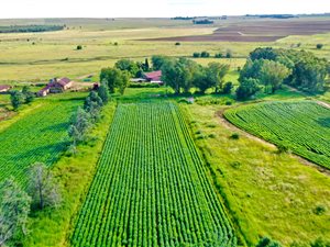 571 ha Farm in Steynsrus