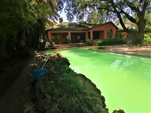 2.6 ha Farm in Rietfontein
