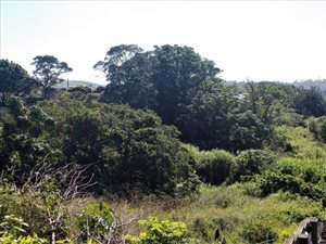 2468 m² Land available in Marburg