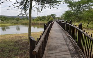 970 m² Land available in Zambezi Country Estate