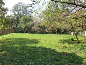 1092 m² Land available in Mtunzini