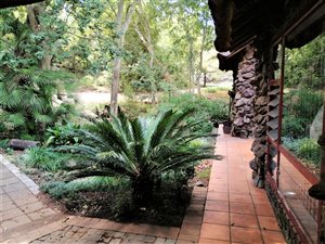 42 ha Farm in Lanseria and surrounds