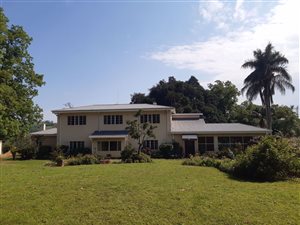 9 ha Farm in Tzaneen