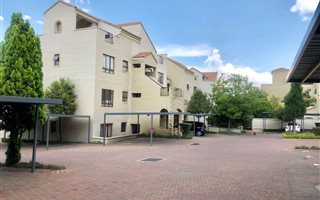 1 Bedroom Apartment in Morningside