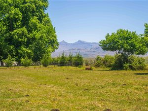 1.8 ha Smallholding in Himeville
